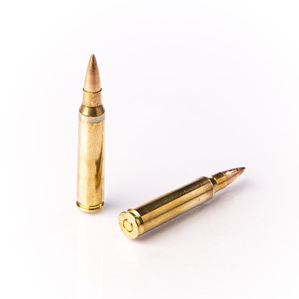 Büchsenpatrone Fiocchi L.E. FMJ 55grs .223 Rem. - VE 50 Schuss